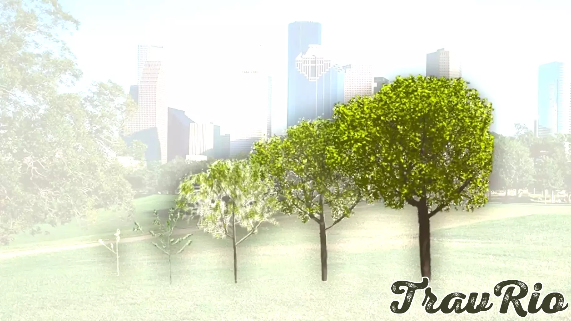 Revolutionary Technology Paves the Way for Urban Digital Forests