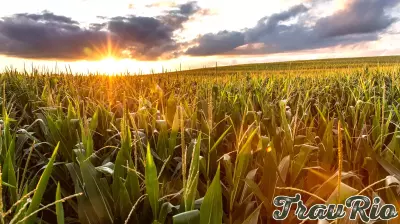 Early Registration Now Open for Conservation Tillage and Technology Conference